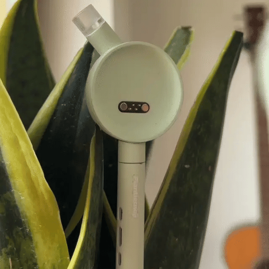 Baguette magique pour plantes Plantiemoji – Capteur intelligent de soin des plantes 4-en-1 avec affichage d'émojis